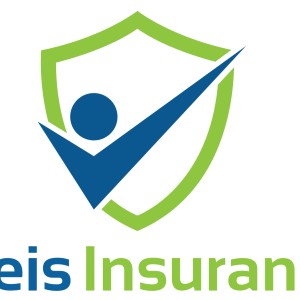 Fleis Insurance